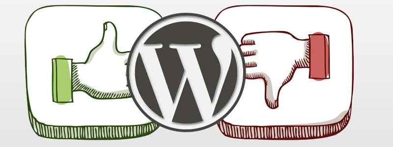 Wordpress Pros and Cons - Digital Marketing Agency